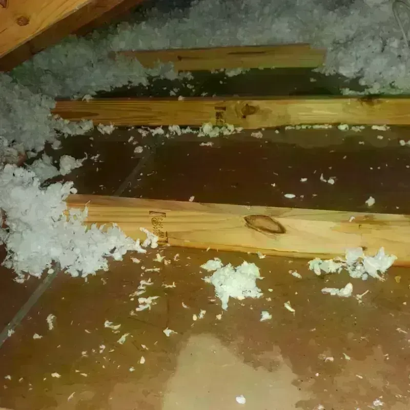 Attic Water Damage in Vincent, CA