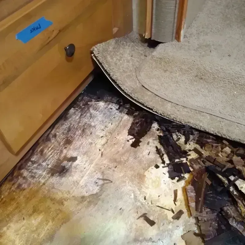 Best Wood Floor Water Damage Service in Vincent, CA